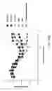 Fig. 28 - COMPOSITIONS AND METHODS FOR THE THERAPY AND DIAGNOSIS OF INFLUENZA