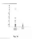 Fig. 03 - METHOD FOR DIAGNOSING AND TREATING CHRONIC PSYCHIATRIC ILLNESSES AND MARKERS AND TARGETS FOR SUCH METHODS