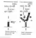 Fig. 01 - Methods and compositions involving nucleotide repeat disorders