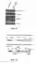 Fig. 07 - Methods and compositions involving nucleotide repeat disorders