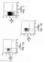 Fig. 10 - PROSPECTIVE IDENTIFICATION AND CHARACTERIZATION OF BREAST CANCER STEM CELLS
