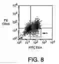 Fig. 12 - PROSPECTIVE IDENTIFICATION AND CHARACTERIZATION OF BREAST CANCER STEM CELLS