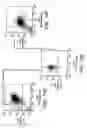 Fig. 15 - PROSPECTIVE IDENTIFICATION AND CHARACTERIZATION OF BREAST CANCER STEM CELLS