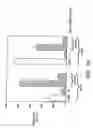 Fig. 22 - PROSPECTIVE IDENTIFICATION AND CHARACTERIZATION OF BREAST CANCER STEM CELLS