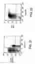Fig. 27 - PROSPECTIVE IDENTIFICATION AND CHARACTERIZATION OF BREAST CANCER STEM CELLS