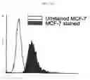 Fig. 32 - PROSPECTIVE IDENTIFICATION AND CHARACTERIZATION OF BREAST CANCER STEM CELLS