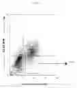 Fig. 34 - PROSPECTIVE IDENTIFICATION AND CHARACTERIZATION OF BREAST CANCER STEM CELLS