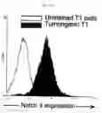 Fig. 40 - PROSPECTIVE IDENTIFICATION AND CHARACTERIZATION OF BREAST CANCER STEM CELLS