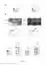 Fig. 04 - HER3 AS A DETERMINANT FOR THE PROGNOSIS OF MELANOMA