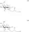 Fig. 06 - Analogues of glycolipids useful as immunoadjuvants