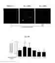 Fig. 05 - AGENTS AND METHODS FOR TREATMENT OF ANXIETY DISORDERS