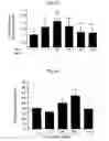 Fig. 06 - AGENTS AND METHODS FOR TREATMENT OF ANXIETY DISORDERS