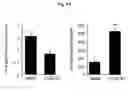 Fig. 08 - AGENTS AND METHODS FOR TREATMENT OF ANXIETY DISORDERS