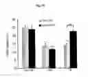 Fig. 12 - AGENTS AND METHODS FOR TREATMENT OF ANXIETY DISORDERS