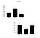 Fig. 13 - AGENTS AND METHODS FOR TREATMENT OF ANXIETY DISORDERS