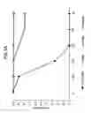 Fig. 07 - Multicomponent meningococcal vaccine