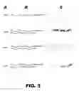 Fig. 08 - Recombinant bacterium capable of eliciting an immune response against enteric pathogens