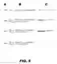 Fig. 09 - Recombinant bacterium capable of eliciting an immune response against enteric pathogens