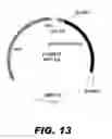 Fig. 28 - Recombinant bacterium capable of eliciting an immune response against enteric pathogens