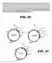 Fig. 41 - Recombinant bacterium capable of eliciting an immune response against enteric pathogens