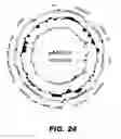 Fig. 45 - Recombinant bacterium capable of eliciting an immune response against enteric pathogens