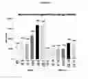 Fig. 07 - ARTICLES AND METHODS FOR REPAIRING DAMAGED NERVOUS TISSUE