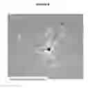 Fig. 19 - ARTICLES AND METHODS FOR REPAIRING DAMAGED NERVOUS TISSUE