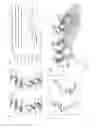 Fig. 02 - REAGENTS FOR INDUCING AN IMMUNE RESPONSE