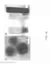 Fig. 35 - REAGENTS FOR INDUCING AN IMMUNE RESPONSE
