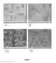 Fig. 02 - Nanoparticle carriers for drug administration and process for producing same