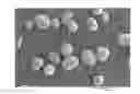 Fig. 01 - APATITE/COLLAGEN COMPOSITE POWDER, FORMABLE-TO-ANY-SHAPE ARTIFICIAL BONE PASTE, AND THEIR PRODUCTION METHODS