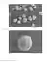 Fig. 02 - APATITE/COLLAGEN COMPOSITE POWDER, FORMABLE-TO-ANY-SHAPE ARTIFICIAL BONE PASTE, AND THEIR PRODUCTION METHODS