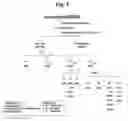 Fig. 02 - Anti-bacterial composition comprising extract from barks of Matsum