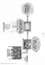 Fig. 02 - Method for Deodorizing Collagen Peptide and Food, Beverage, or Composition Using The Same
