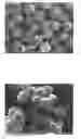 Fig. 01 - PROCESS FOR MAKING COATED, WATER-SWELLABLE HYDROGEL MICROSPHERES