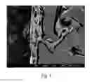 Fig. 02 - Method of making a composite porous material