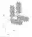 Fig. 01 - Artificial decorative plant