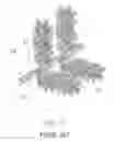 Fig. 02 - Artificial decorative plant