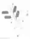 Fig. 04 - Artificial decorative plant
