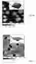 Fig. 07 - Method for fabrication of localized plasmon transducers