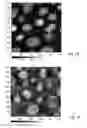 Fig. 16 - Method for fabrication of localized plasmon transducers
