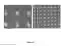 Fig. 22 - Patterning structures using deformable substrates