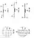 Fig. 03 - TAPE