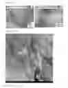 Fig. 02 - Nanocomposites, polymer compositions comprising the same and preparation methods thereof