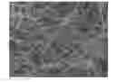 Fig. 01 - Carbon fiber and method for producing the same