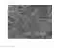 Fig. 02 - Carbon fiber and method for producing the same