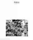 Fig. 07 - Spherical boron nitride nanoparticles and synthetic method thereof