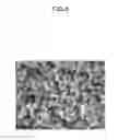 Fig. 09 - Spherical boron nitride nanoparticles and synthetic method thereof