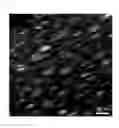 Fig. 03 - GAS-BARRIER COMPOSITION, COATING FILM, PROCESS FOR PRODUCING THE SAME, AND LAYERED MATERIAL