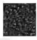 Fig. 04 - GAS-BARRIER COMPOSITION, COATING FILM, PROCESS FOR PRODUCING THE SAME, AND LAYERED MATERIAL